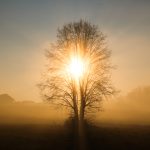 By Joana Arcangel, Program Coordinator, Project Return Peer Support Network/Hacienda of Hope