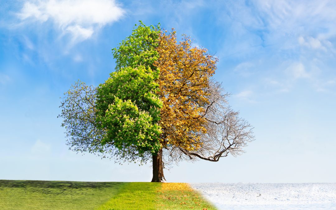 Changing Seasons and Back to School