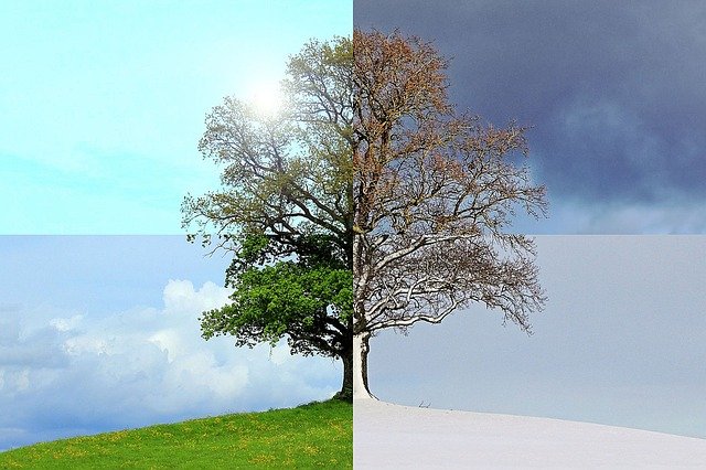 Wellness Through the Seasons